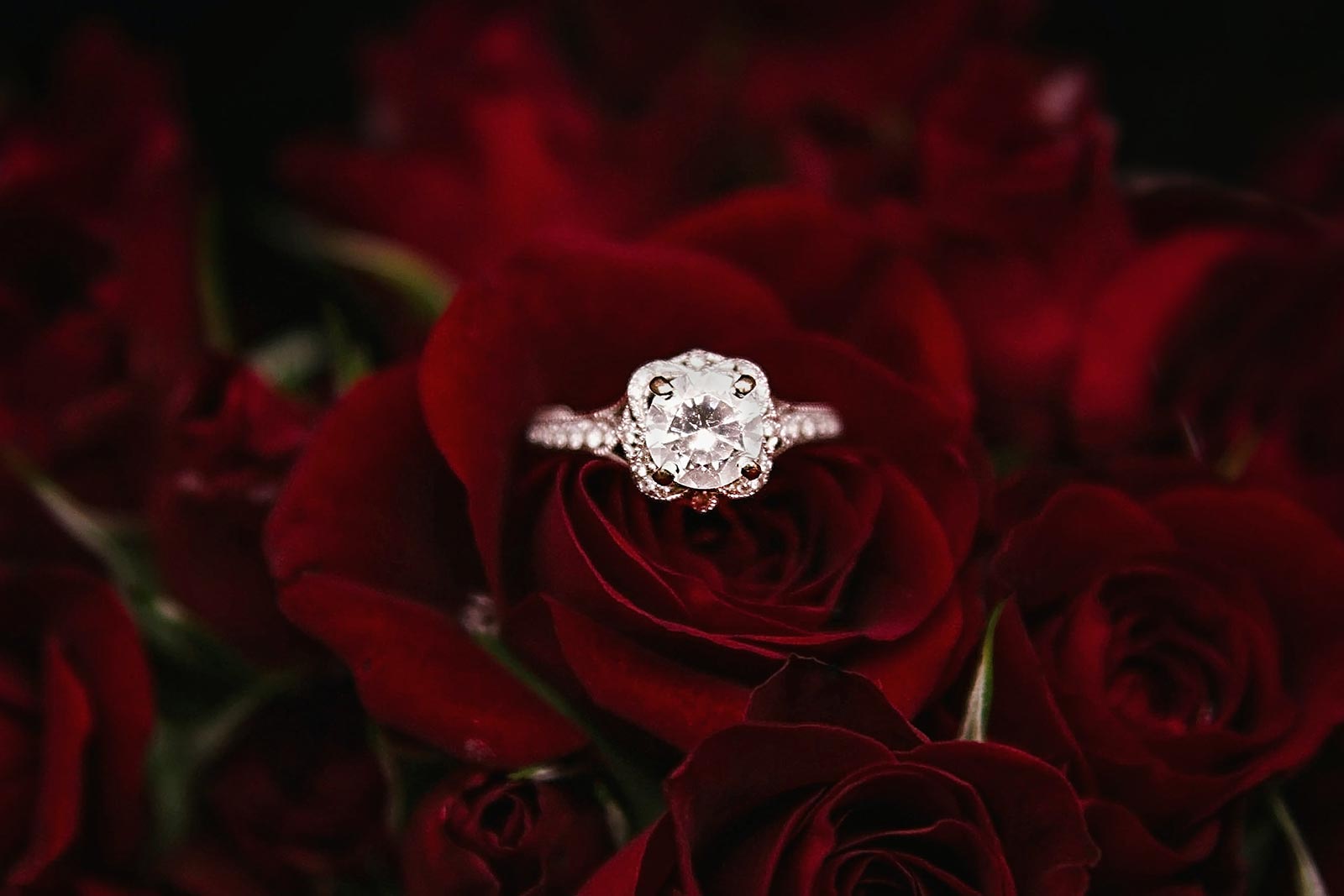 Cotton Block Print Dress